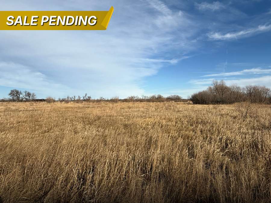 320 +/- Acres, Holt County, Nebraska